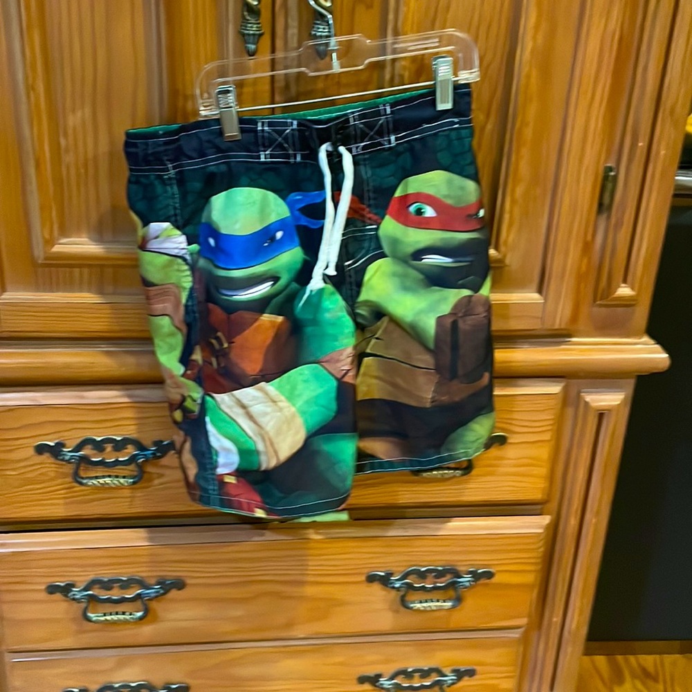 Boys Teenage Mutant Ninja Turtles bathing suit and matching swim shirt.